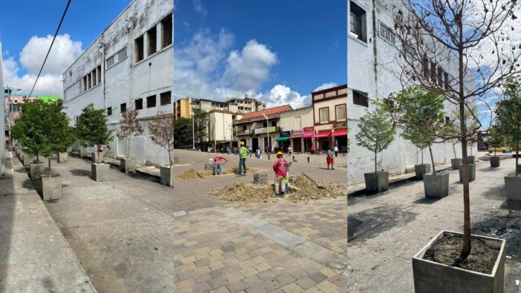 Continúa proceso de arborización en plaza San Nicolás e Intendencia Fluvial