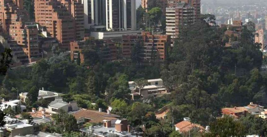 “Una ciudad necesita de los bosques urbanos para estar sana”- FAO