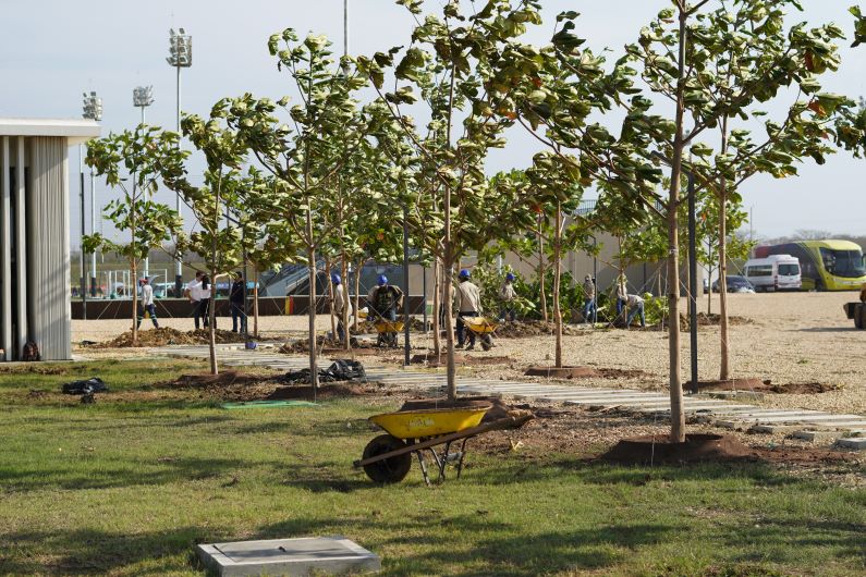 Barranquilla intervendrá 31.000 metros cuadrados de espacio público con arborización y paisajismo.