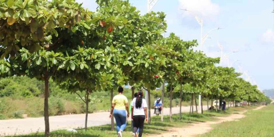 La capital del Atlántico le está apostando a una revolución verde que se abre paso en el Caribe colombiano.