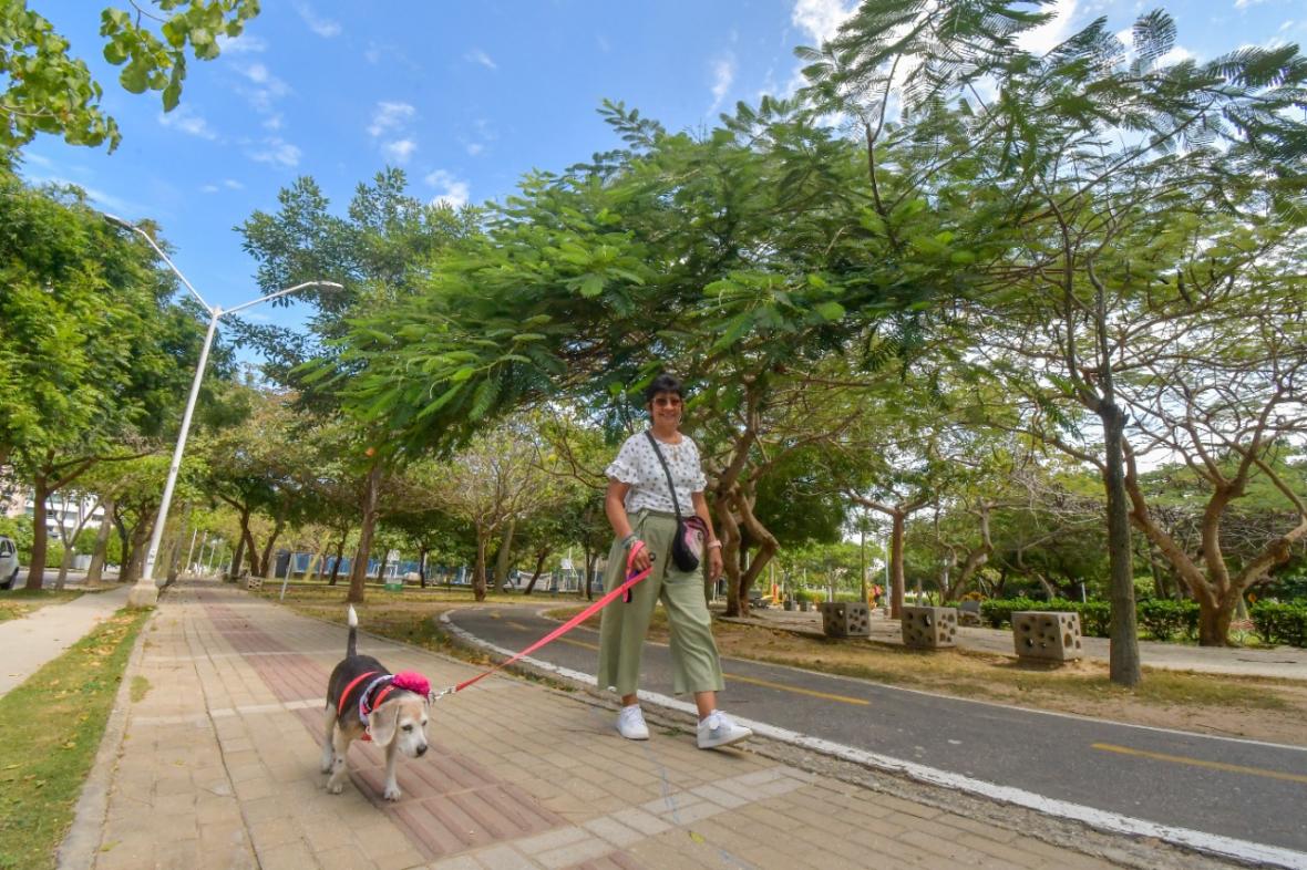 Sembrar ocho mil árboles, meta a cumplir en Barranquilla en el 2023