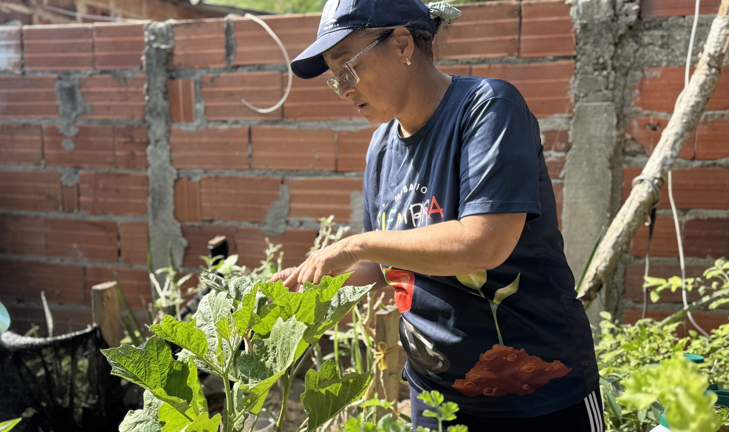 Trabajando en reforzar la seguridad alimentaria, Distrito entrega 150 kits con ‘Mi Barrio Siembra’