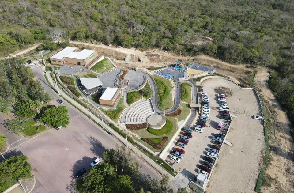 parque-mirarmar-bosque (4)